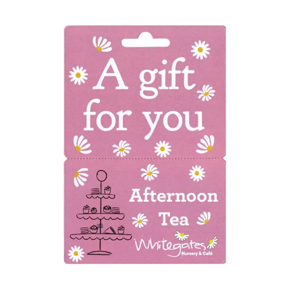 Afternoon Tea GC 594.png